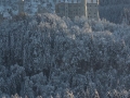neuschwanstein-6