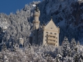 Neuschwanstein von Hohenschwangau aufgenommen
