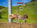 breitenberg-flora-fauna-michael-helmer-00574
