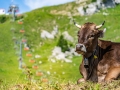 breitenberg-flora-fauna-michael-helmer-00630