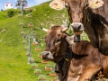 breitenberg-flora-fauna-michael-helmer-00642