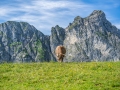 breitenberg-flora-fauna-michael-helmer-00660