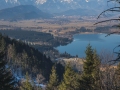 buchenbergbahn-michael-helmer-01295