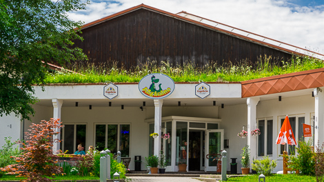 Allgäulino in Wertach