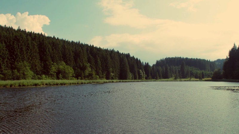 Faulensee in Rieden