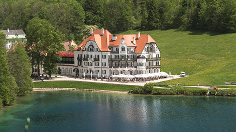 Alpenrose am Alpsee in Hohenschwangau
