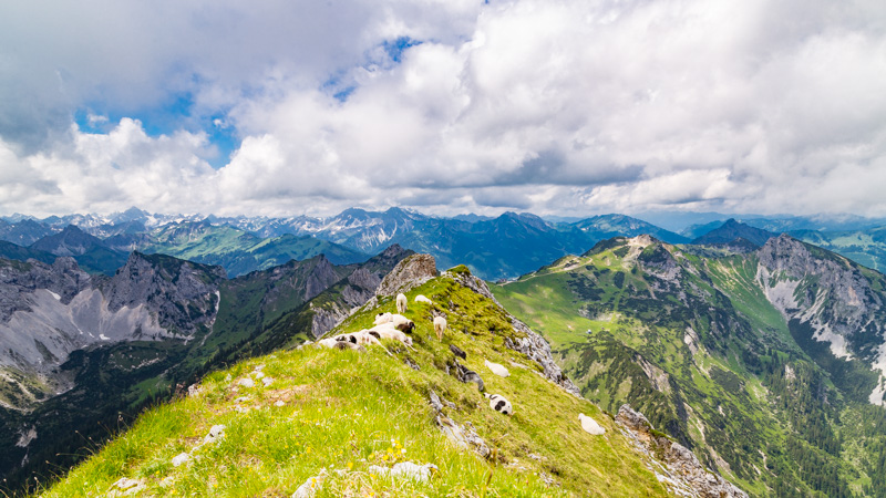 Wanderung auf die Schlicke in Roßschläg
