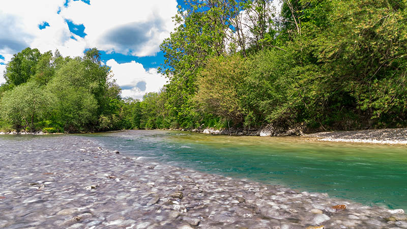 Spaziergang im Walderlebniszentrum in Füssen